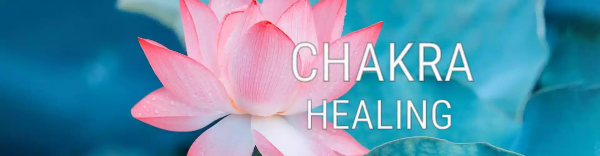 Bundle: Serie Sanando tus Chakras Las 8 clases - Online Course by Learn It Live